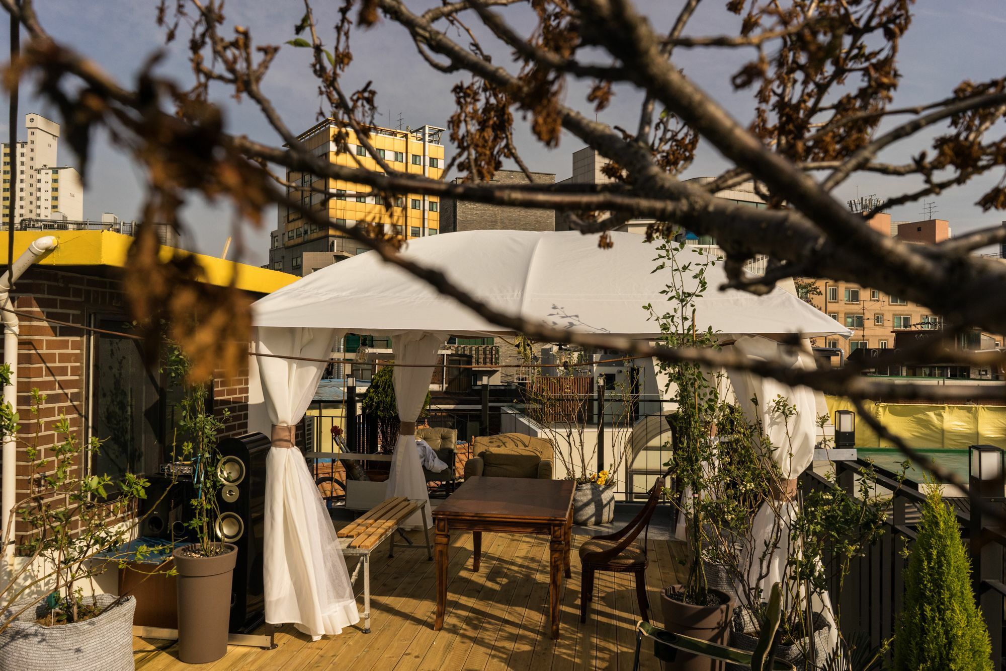 Tetto House Rooftop Garden Seoul Luaran gambar