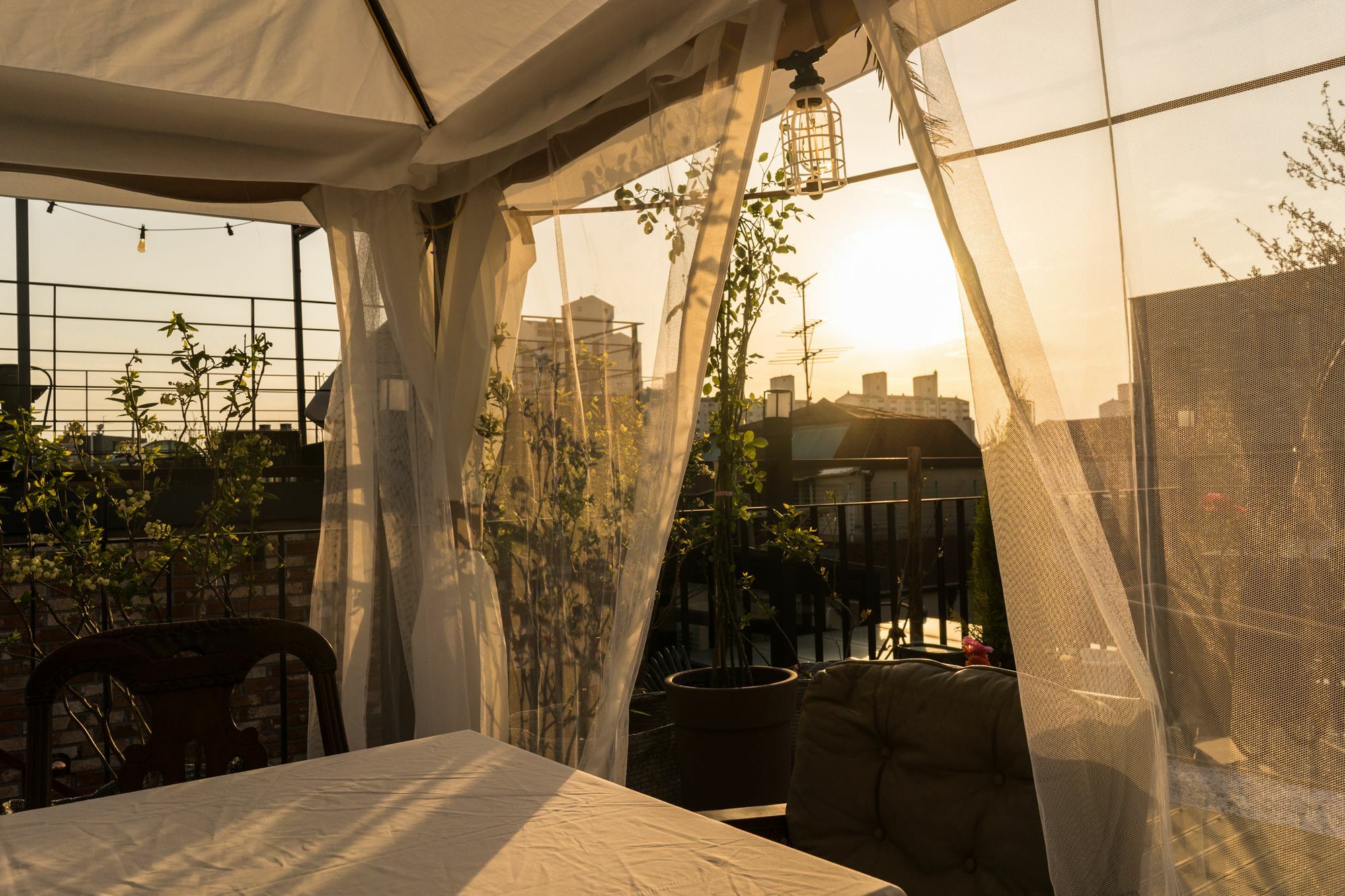 Tetto House Rooftop Garden Seoul Luaran gambar